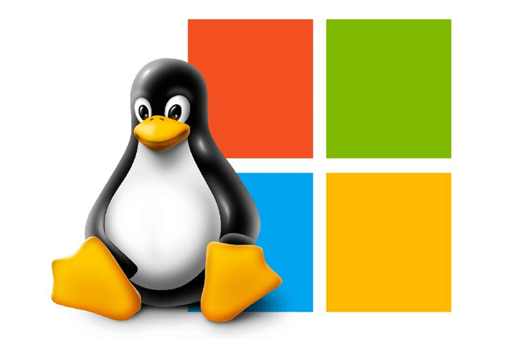 Linux And Windows Hosting Plans Linux And Windows Hosting Plans