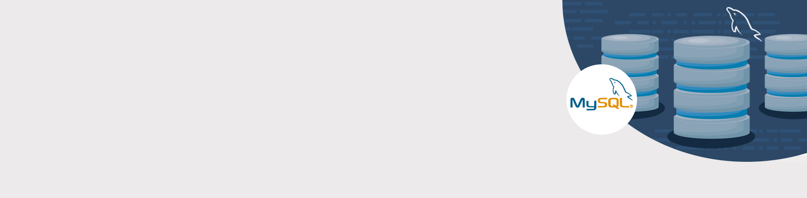 MySQL Hosting MySQL Hosting