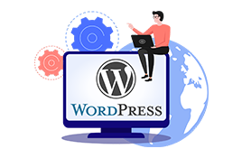 Plus wordpress plan